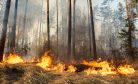 Wildfire in Kazakhstan Sparks Corruption Complaints