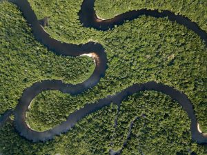 Human Rights and Protecting Cambodia’s Rainforests