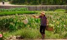 Why Food Security is a Top Priority for China
